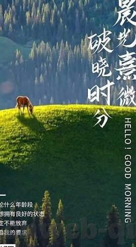 足球帝比分-探秘足球帝比分，从数据迷雾中寻找绿茵场的真知灼见